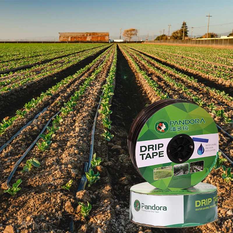 Pandora 16mm Ttape Drip Tape drip irrigation tape hose pipe Ensuring Optimum Water Usage in Agriculture Farming