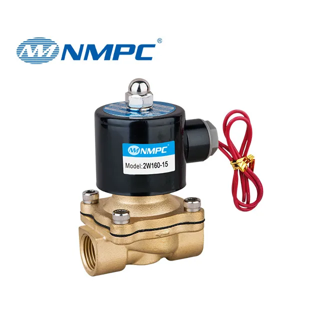1/2 inch 2W160-15 2/2 Way Direct Acting Solenoid DC12V 24V AC 220V Brass Water Solenoid Valve