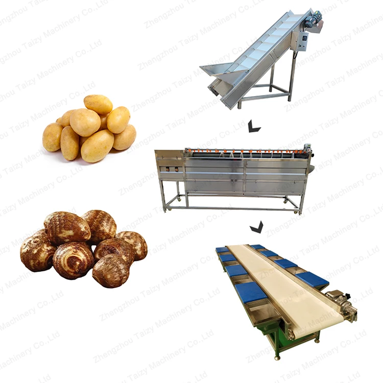 Commercial Vegetable Brush Washing Equipment Potato Peeling Machine