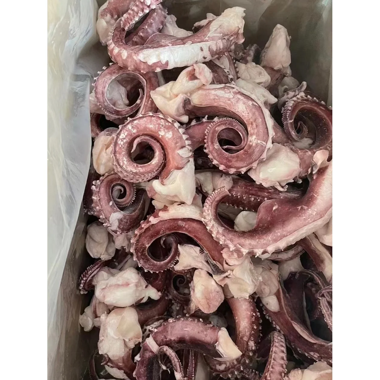 Оптовая продажа, щупальца замороженного кальмара, гигантские щупальца кальмара для рынка