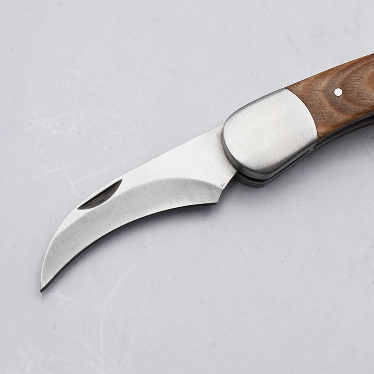 Amazon hot selling New design pakka wood handle stainless steel cutting knife mushroom knife with brush
