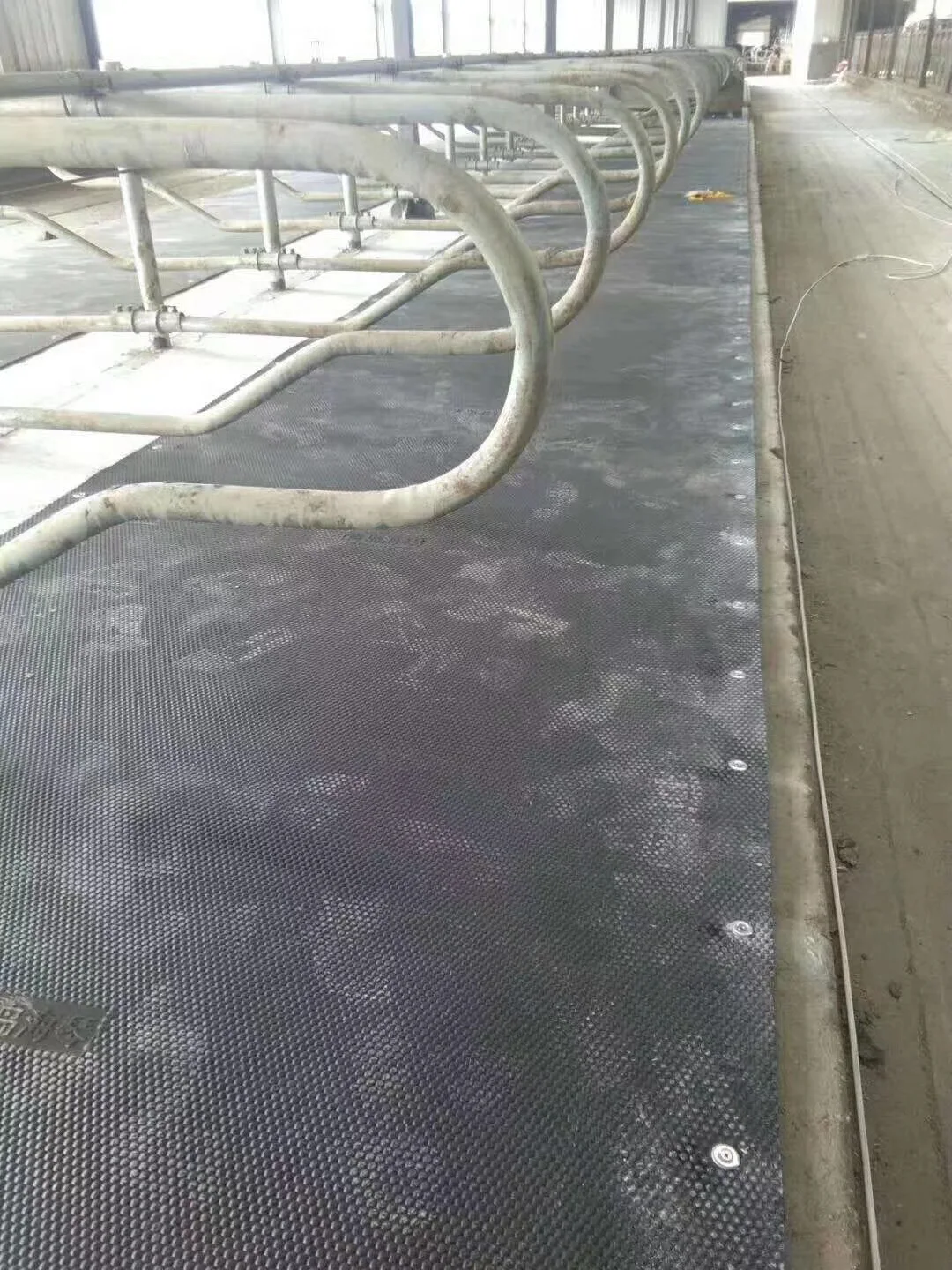 Soft bed system Cow cubicle mats latex foam mattress for cattle/cow/bovine/buffalo/bull/livestock