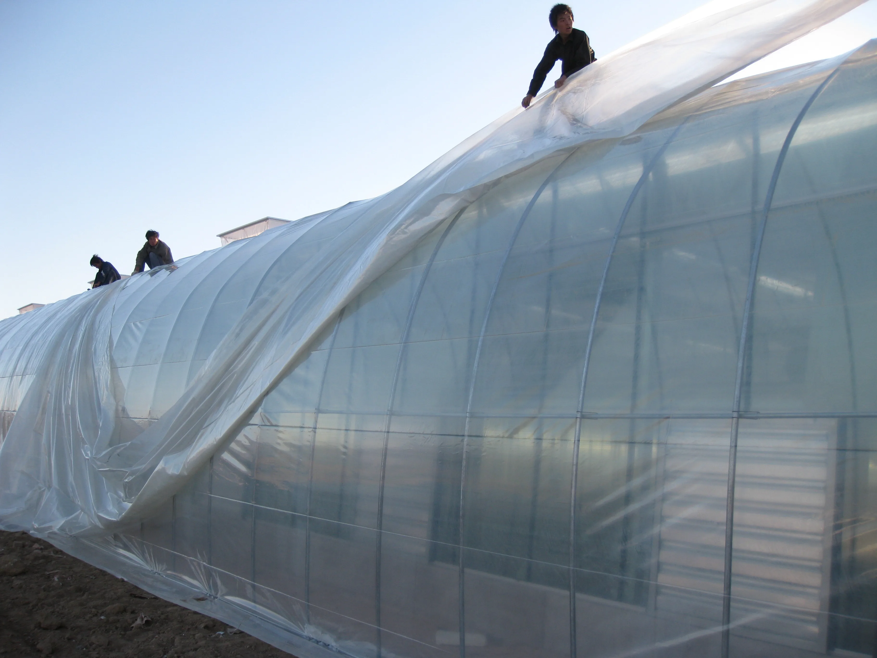 PE Plastic Film Greenhouse