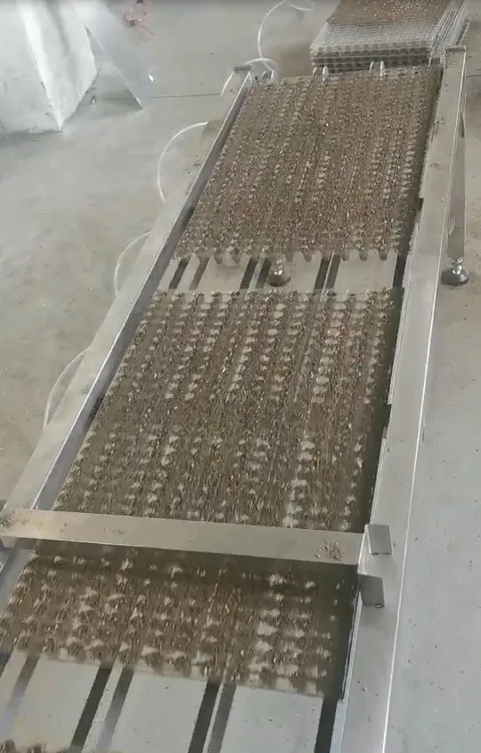 automated needle seeder for  rice seeds with high productivity 800 trays per hour exported to Europe and Middle East