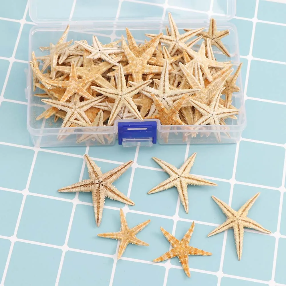 3-5cm Small Starfish Beach Craft Mini Natural Sea Stars Craft Decoration DIY Handmade Accessories