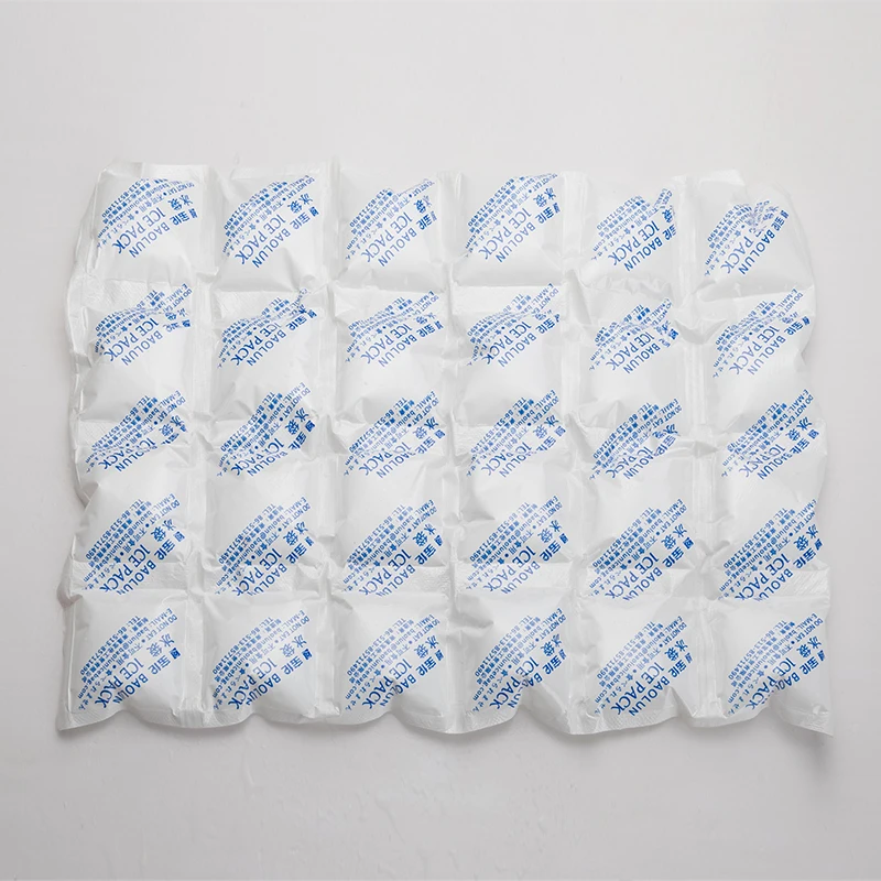BSG 390*290 мм 24 шт. в одном заводском одноразовом пищевом консервативном охлаждающем холодильнике пакет для льда
