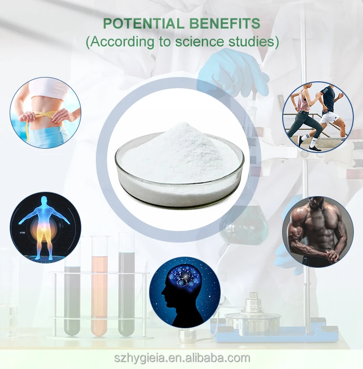 Top quality Health care supplement L-Carnitine weight loss products Acetyl L-Carnitine 99% for brain health