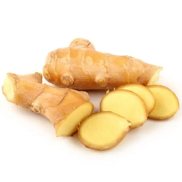 Factory wholesale fresh organic ginger natural healthy vegetable