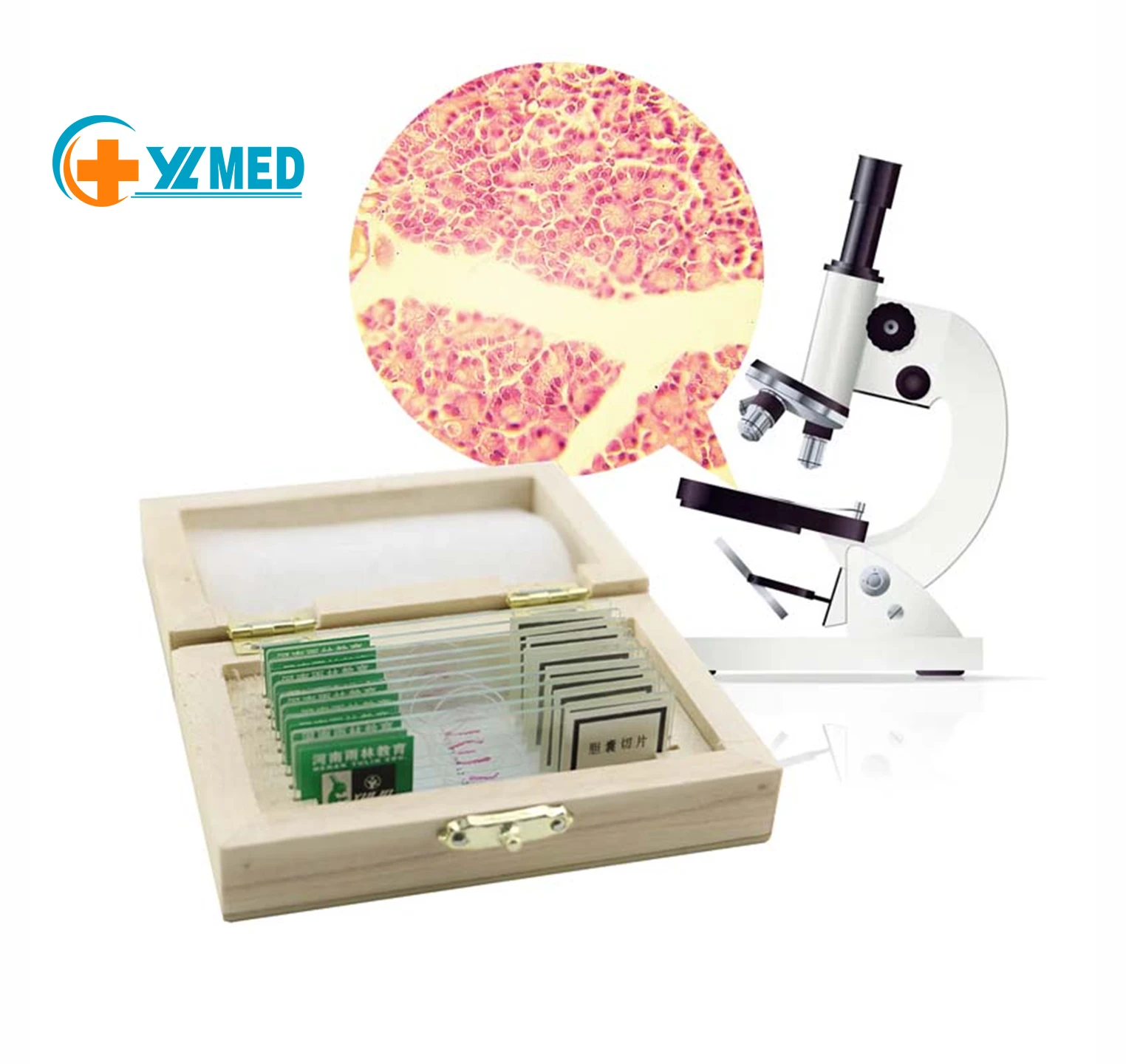 100 видов медицинских научных микроскопов человеческие ткани специальные предметы гистологии