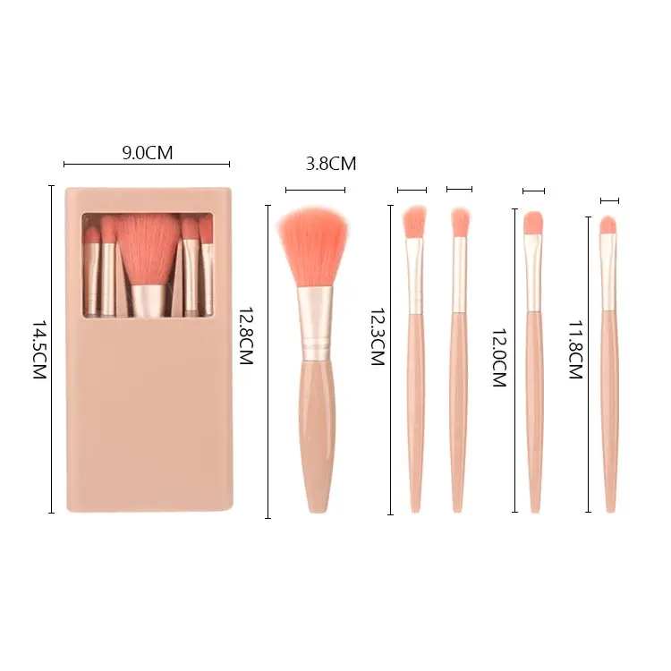 5Pcs Small Complete Function Cosmetic Brushes Portable Make Up Brush Kit Travel Size Makeup Brushes Set With Mirror Plastic Case