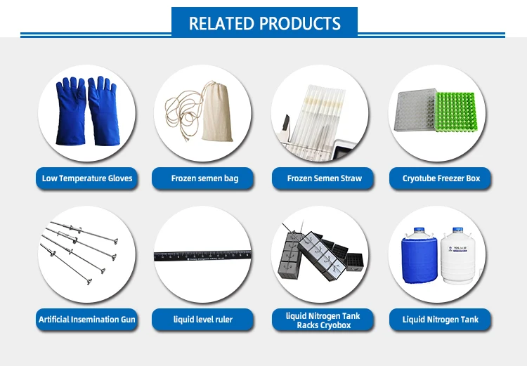 Freezer Storage Box Paper Cardboard 10X10 9X9 Small Big Cryobox