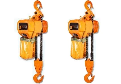 2024 Best Seller Electric Chain Hoist 500kg Load Capacity G80 Chain Various Indoor Outdoor Cranes 220V Construction Industry