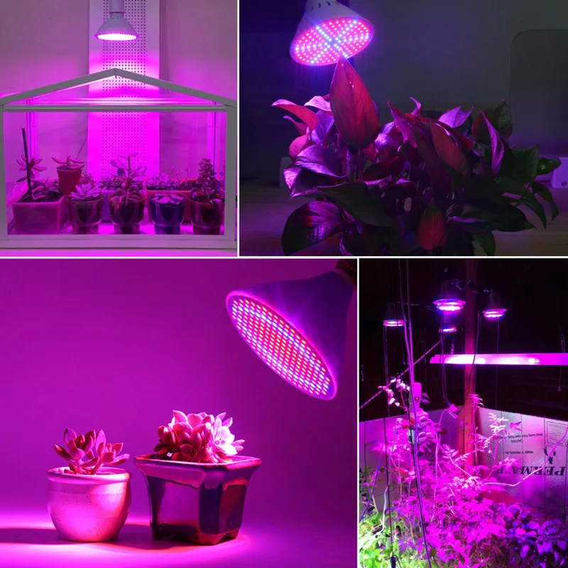 Led Grow Lights Bulb Led Plant Lamp For Greenhouse Hydroponics Plant Seedling Growing