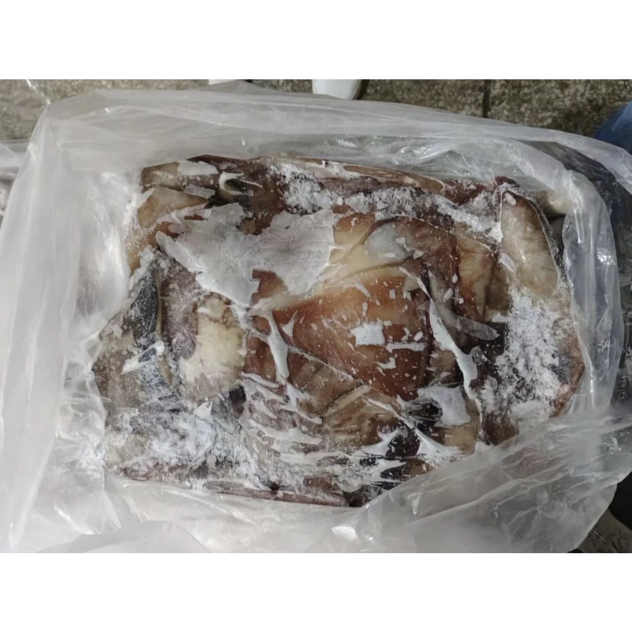 Frozen Seafood 1-2kg BQF Frozen Squid Wings/Ear