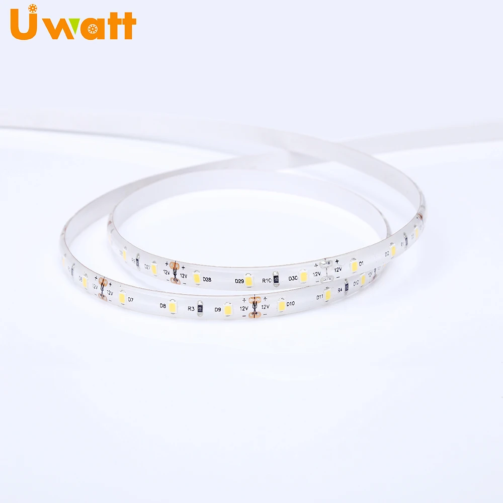 Tiras Luz de tira Bande de LED DC12V 60 LED/m 2835 IP65 LED Flexible Strip With Landscape