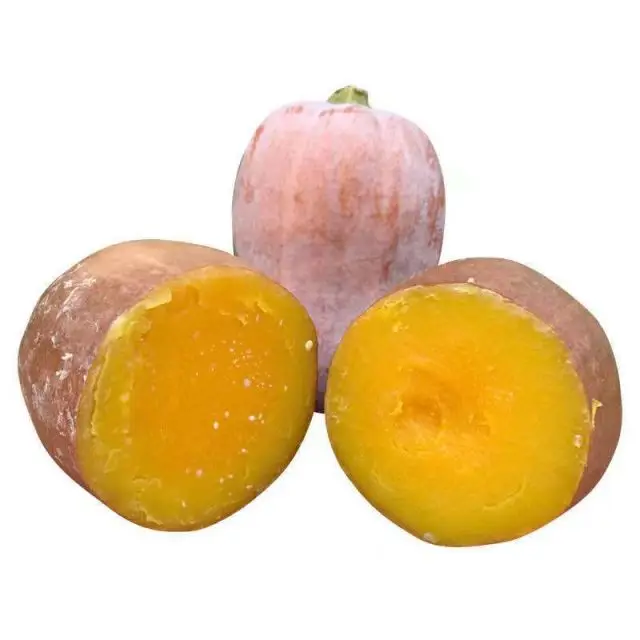Fresh pumpkin quality mature in 2021