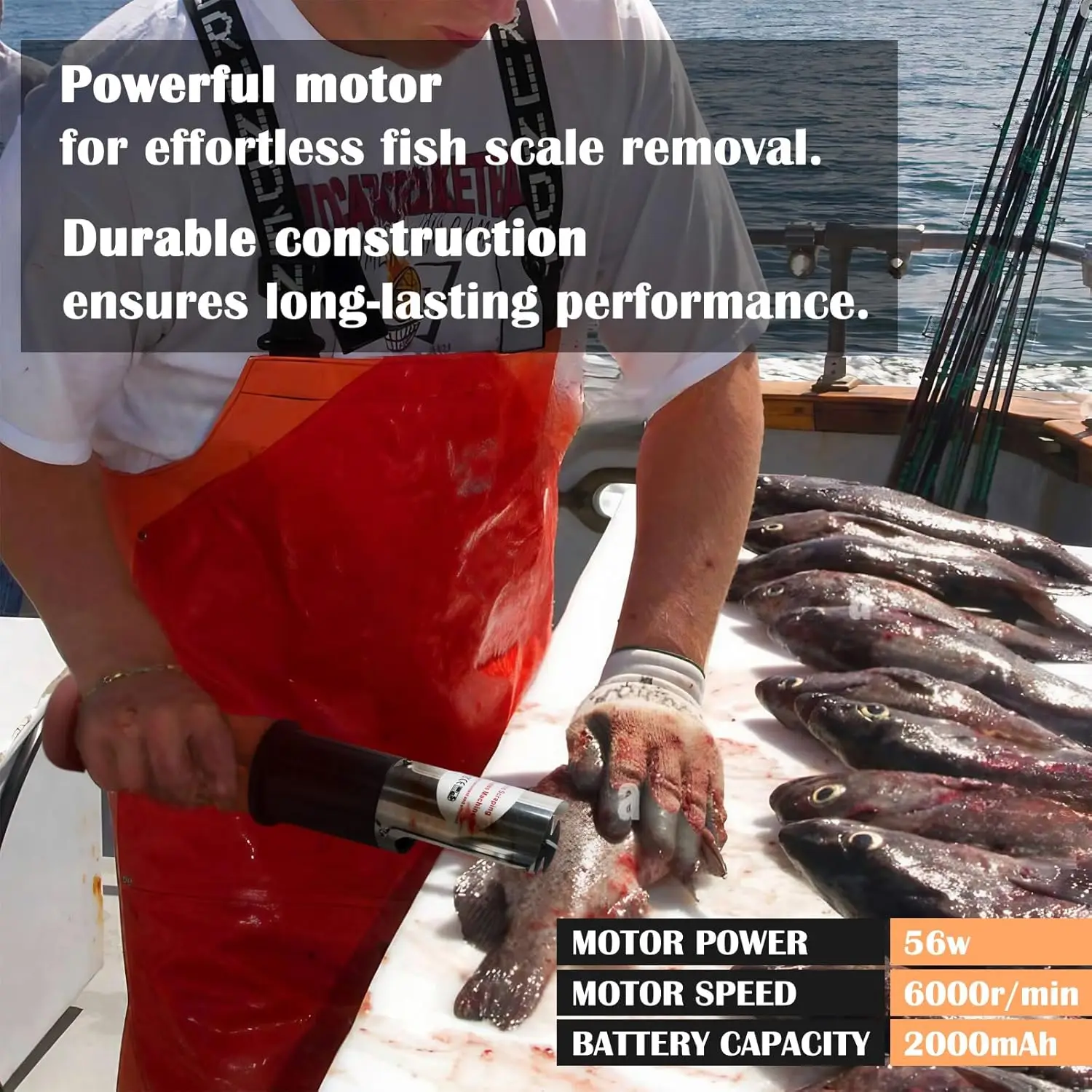 Rechargeable electric fish scaler