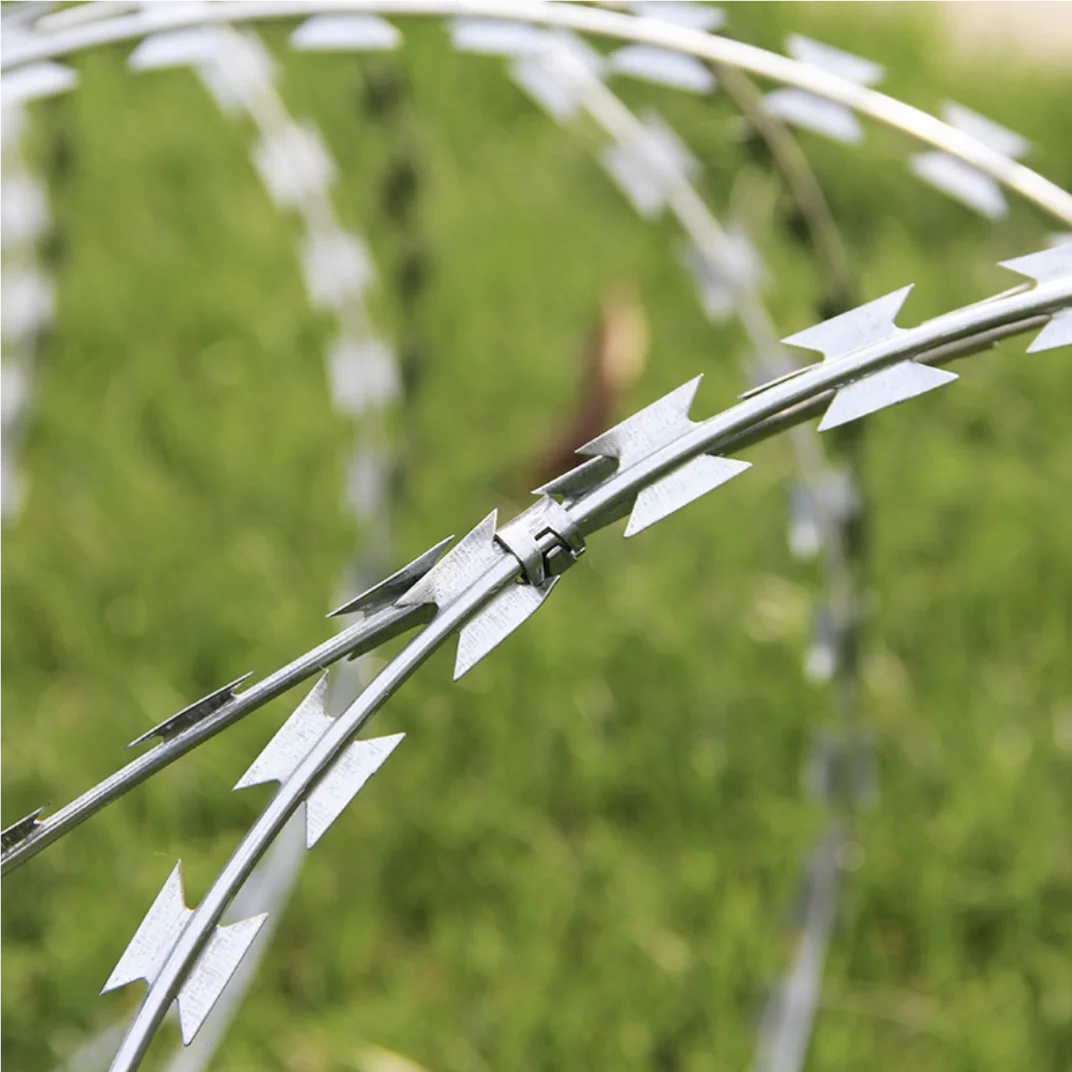 Manufacturer Wholesale Specification Well-Known For Its Fine Quality Razor Barbed Wire