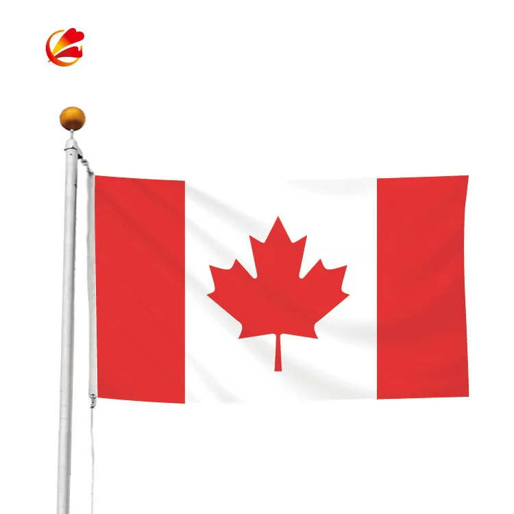 new products 3x5 feet custom printed polyester somaliland flag