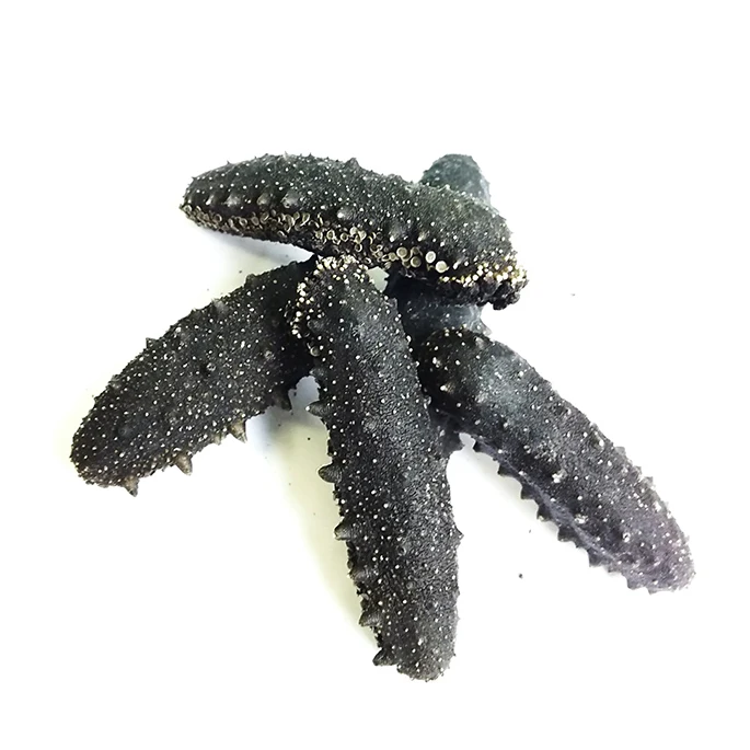 Bulk high quality popular food sea products black dry sea cucumber