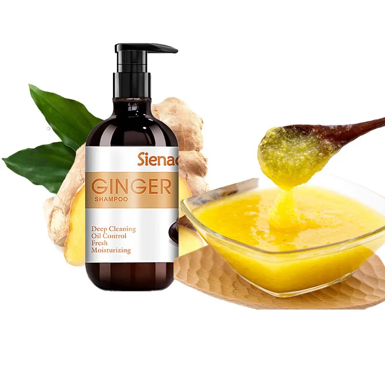 Wholesaler Nature organic 7 days ginger hair growth Shampoo Anti-Hair Loss private label OEM Ginger shampoo
