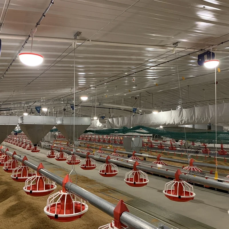 Оборудование для куриных ферм автоматическая кормушка птицефабрик машина разведения бройлеров полная линия кормления