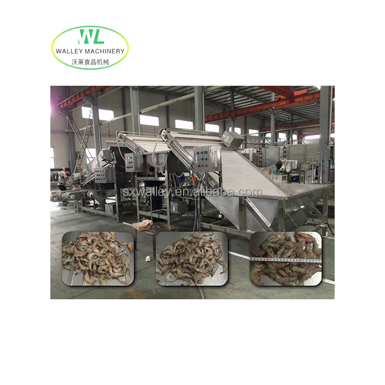 Hotsale Industrial Prawn Washing Size Separator Automatic Fish Sorting Equipment Sardine Grader Shrimp Grading Machine