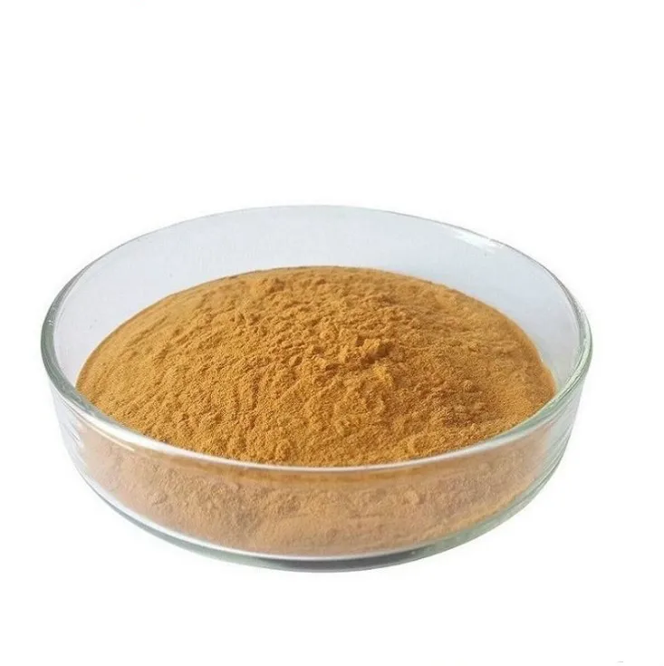 100% Natural Chinese Plant Garlic Herbal Extract Powder