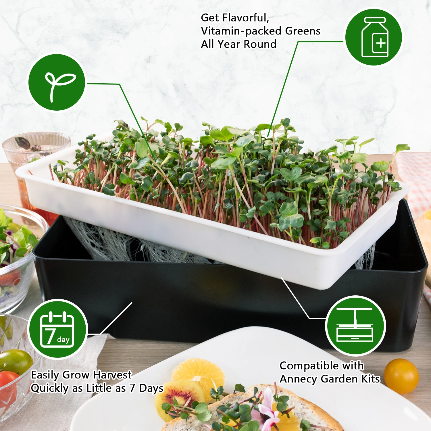 microgreen shelf  hydroponic system No deformation repeated use microgreens grow tray