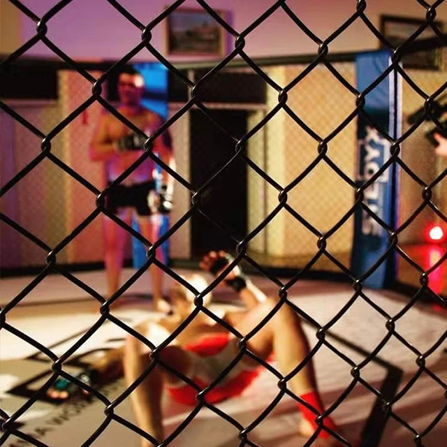 6m*6m Hot Sale Floor MMA Cage Ufc Octagon Fighting Cage for Training and Competition