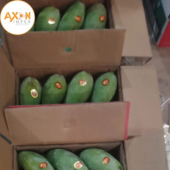 Пакистанское Mausami Chaunsa манго 100% органическое