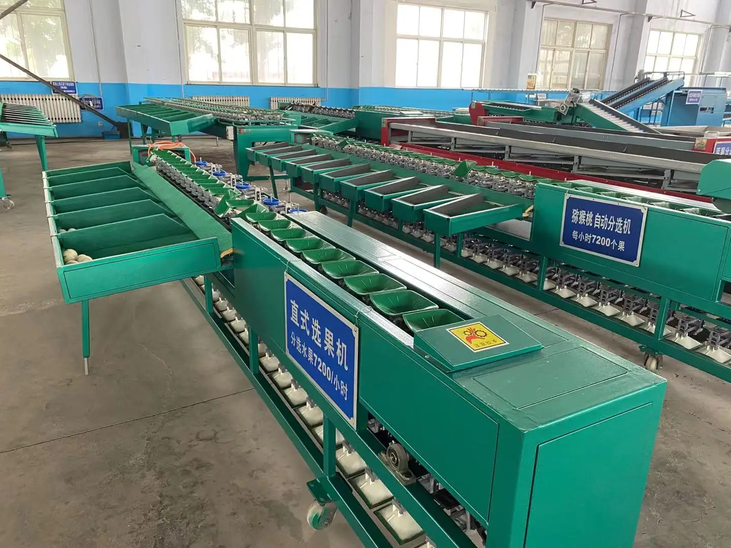 Hot sale mechanical citrus weighting grading fruit weight sorting