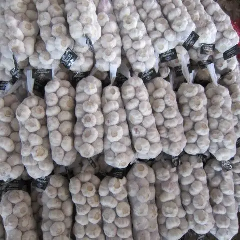 High Quality Fresh Import Garlic China Garlic Packing of Garlic