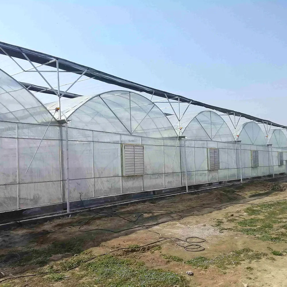 New hydroponics system polytunnel greenhouse agricultural film on sale