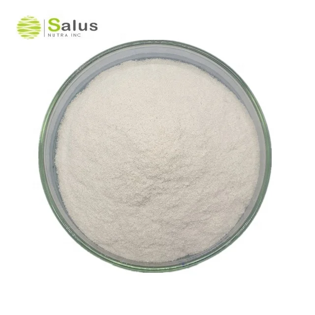Salus Provide Best Price Chitosan Powder Chitosan