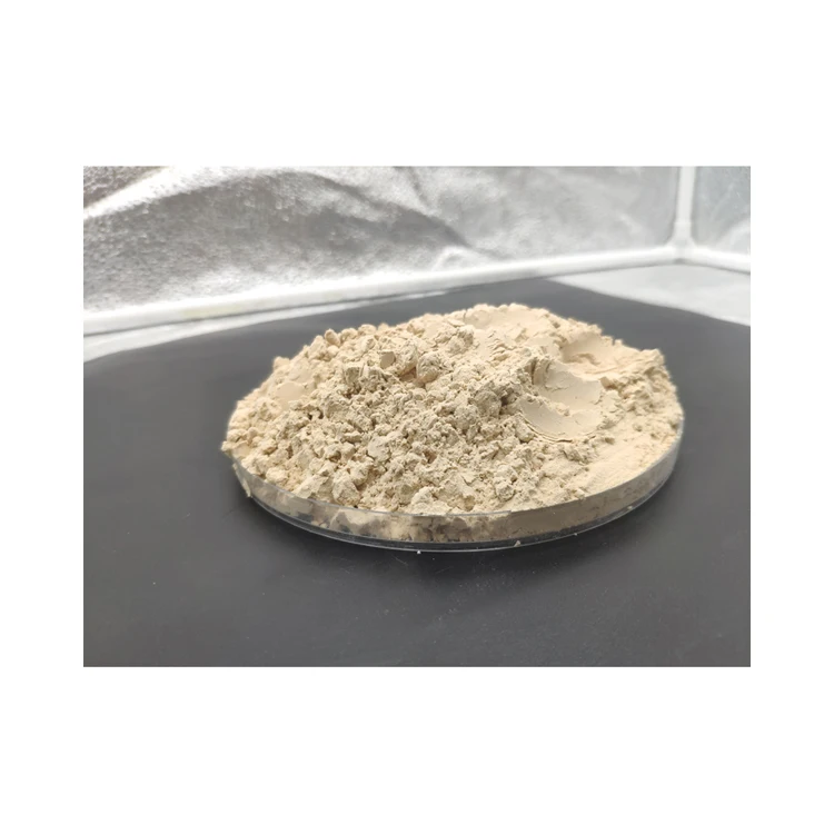 2022 Fashion Organic Diatomaceous Earth Natural Food Grade Oil Absorbent Granules