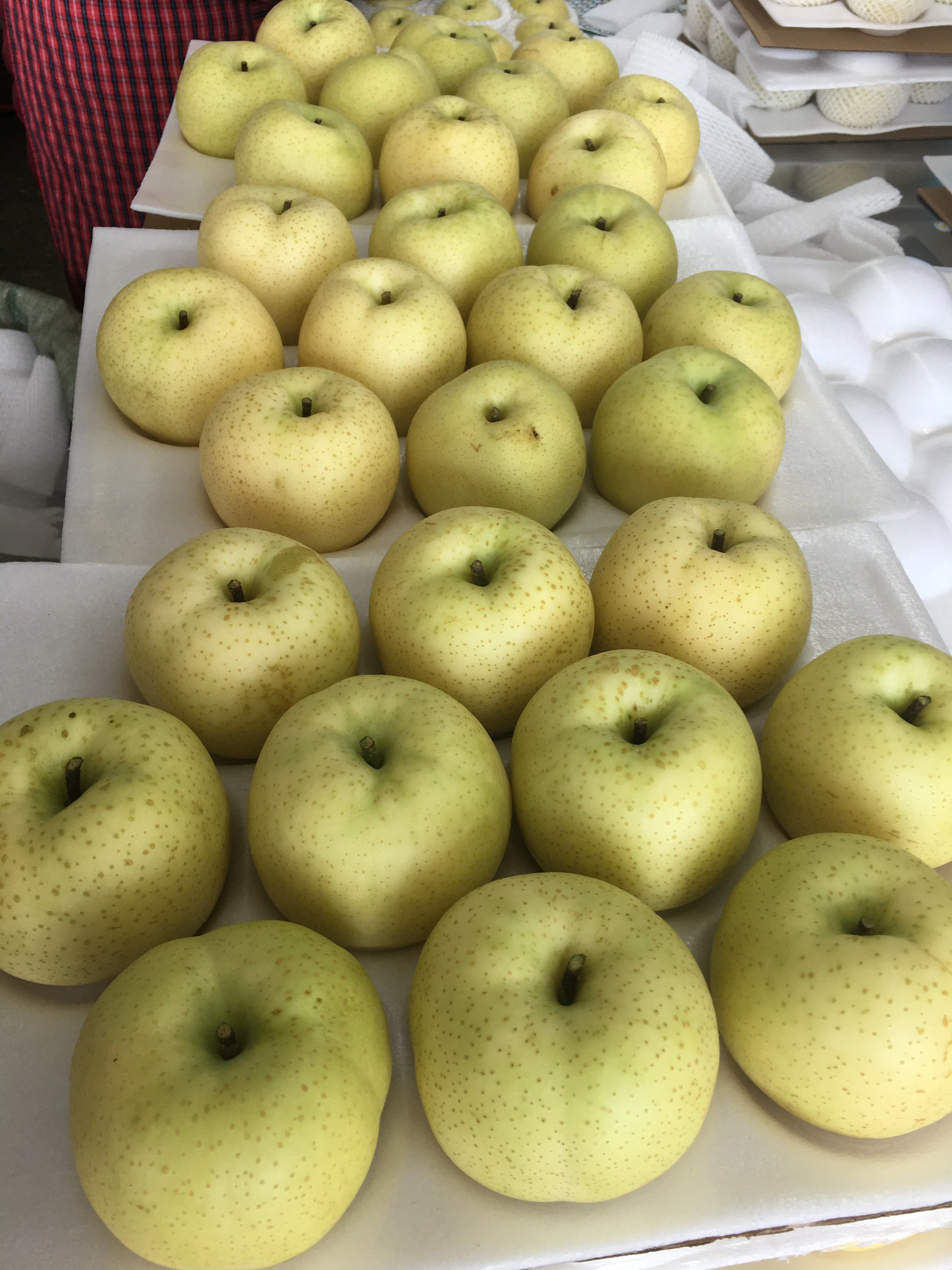 Золотая свежая груша фруктовая Корона груша новый урожай свежие груши цена