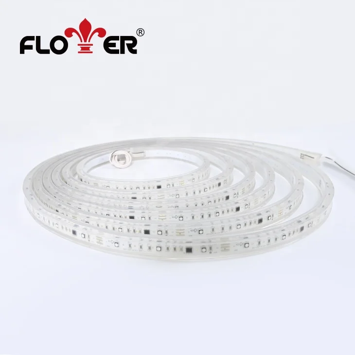 Economical Waterproof IP68 LED DMX Outdoor Strip Lights 5m/1m DMX512 DC12/24V LED Strip Lights for Landscape Lighting