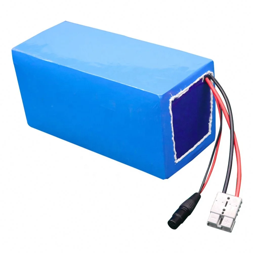 
2KWH Battery rickshaw manufacturer li ion pouch lipo battery pack e rickshaw battery 48v 42Ah 