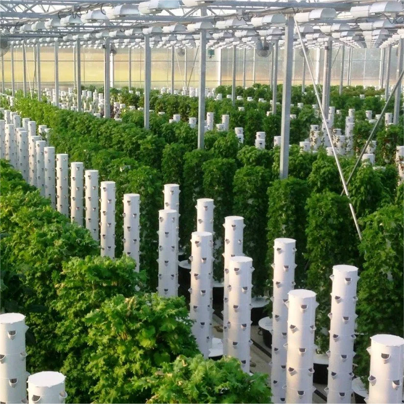 hydroponic greenhouse vertical aeroponics towers garden growing systems multilayer vertical aeroponics tower