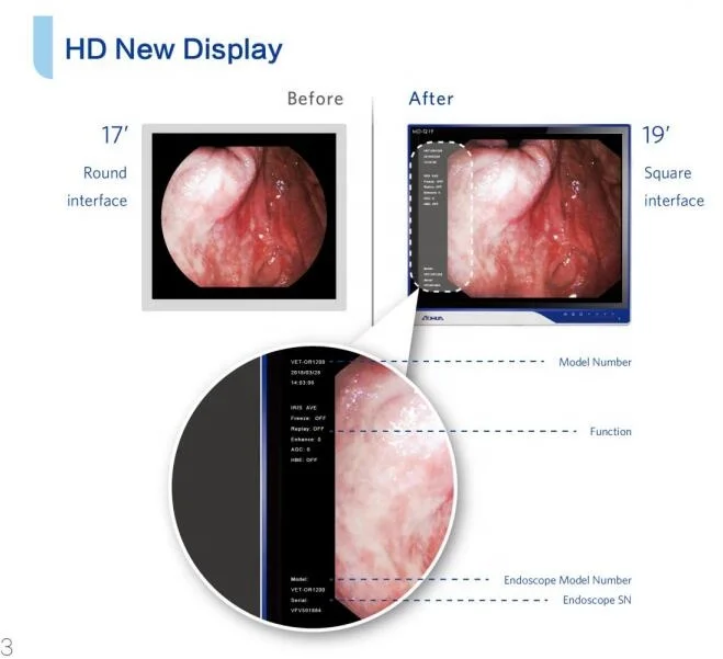 Veterinary  Video Fible Endoscopes System,All in one Portable Video colonoscopy in dogs and cats Qquine