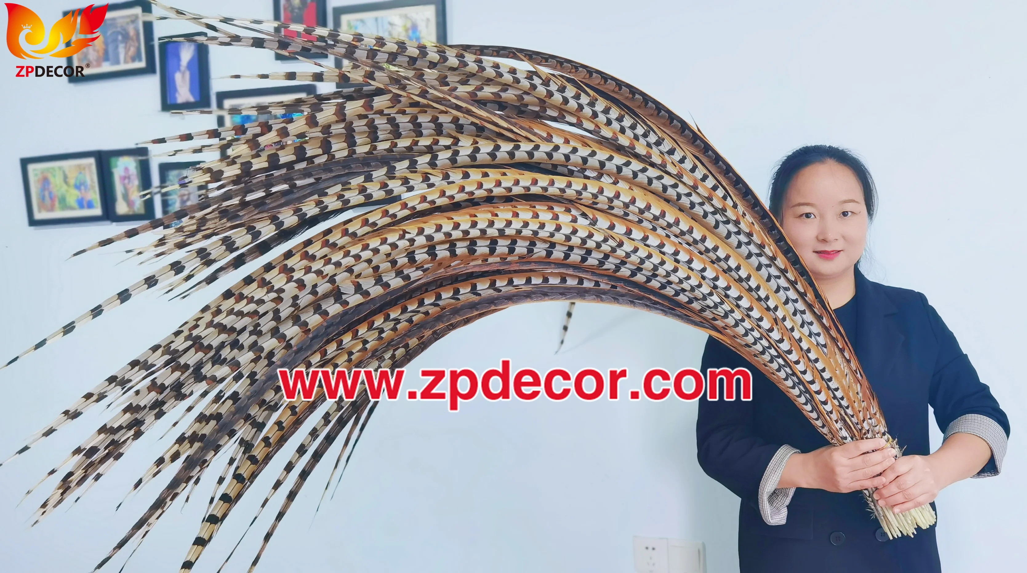 Factory Wholesale from ZPDECOR  150-160 cm Super Long  Natural Reeve Pheasant Tail Feathers for Carnival Costumes