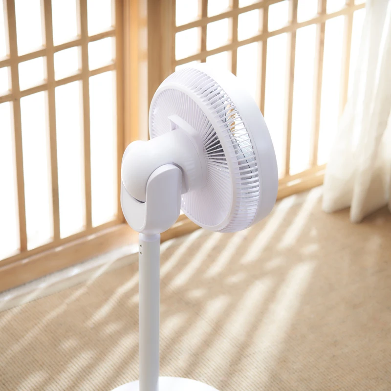 China Good Air Circulator Pedestal Portable 5 Brush Electric DC Power 220 Volts Recharegeable Standing Fan