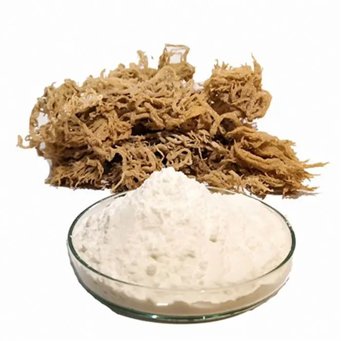 Hot sale agar microbiology with wholesale price