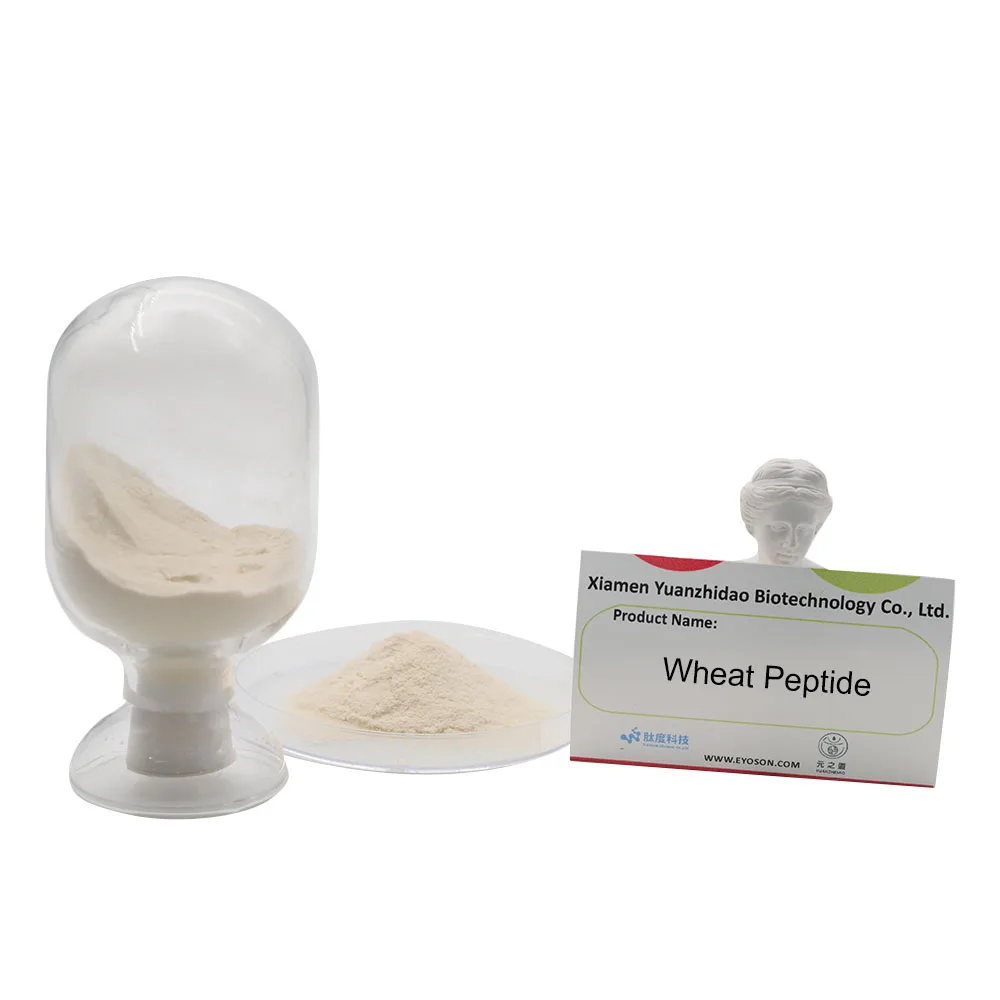 
Factory supply Wheat Peptide Natural Food Additives Premium quality bulk vegan protein blood health 