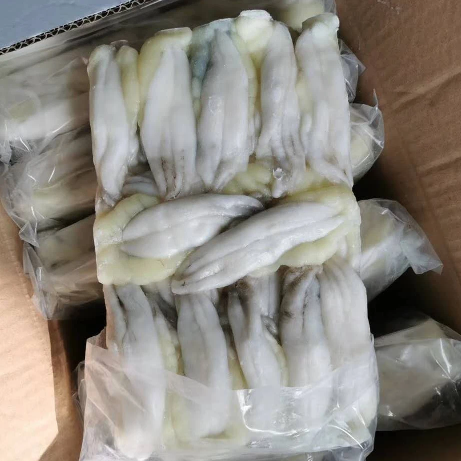 Frozen illex squid egg