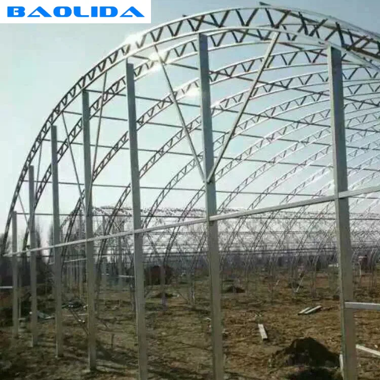 Baolida invernadero de doble arco vegetables growing irrigation system green house double arch greenhouse