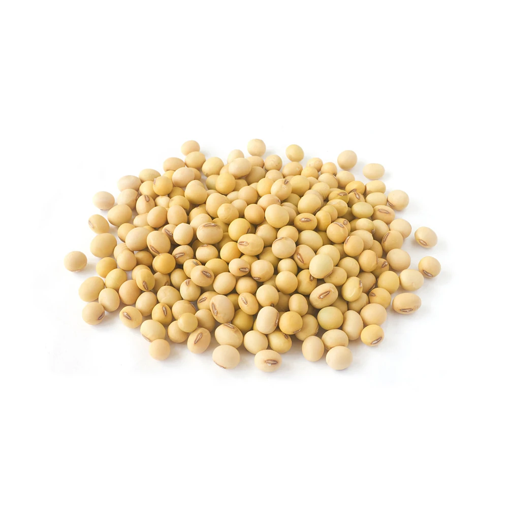 2021 Manufacturers Wholesale Yellow Yed Beans Price Yellow Kidney Beans