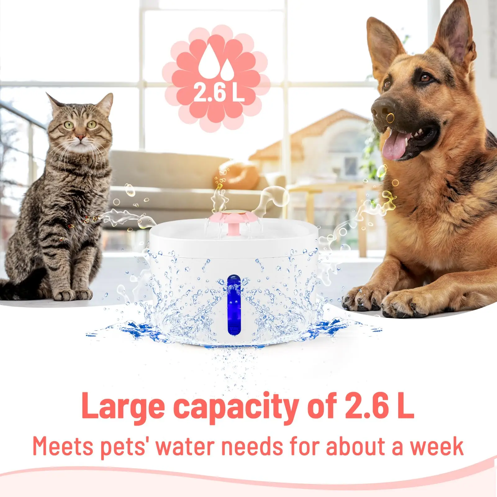 Petdom 2.6L Cat Auto Drinker Smart Water Dispenser Automatic Feeders & Water Stainless Steel Pet Water Fountain for Cats 0.5W