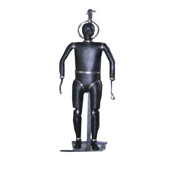 Climate chamber and thermal manikin computational thermal manikin human thermal manikin